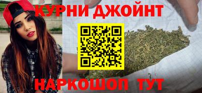 крисы Аргун