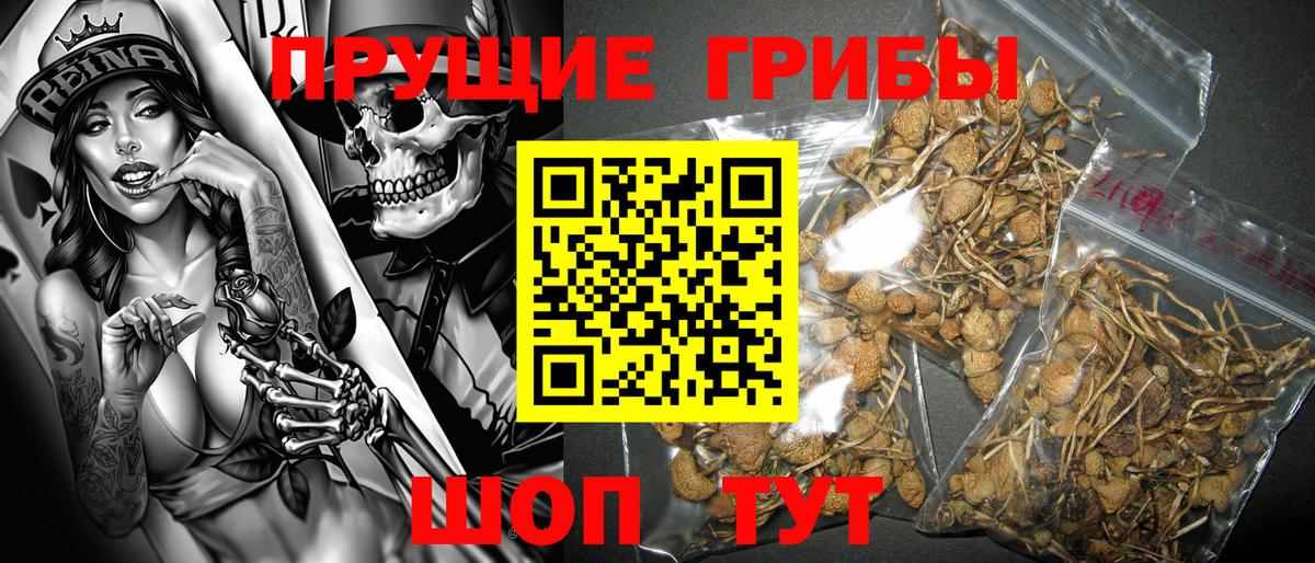 Галлюциногенные грибы Cubensis Белая Калитва