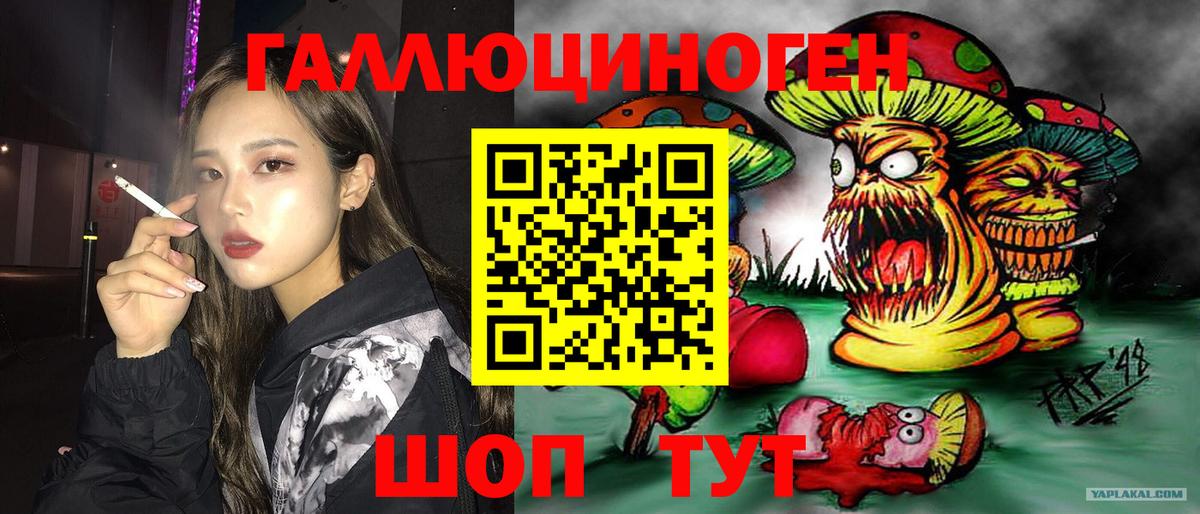 Галлюциногенные грибы прущие грибы  Белая Калитва 